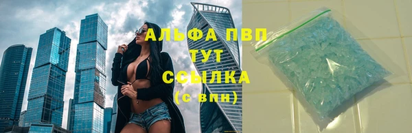 твердый Надым