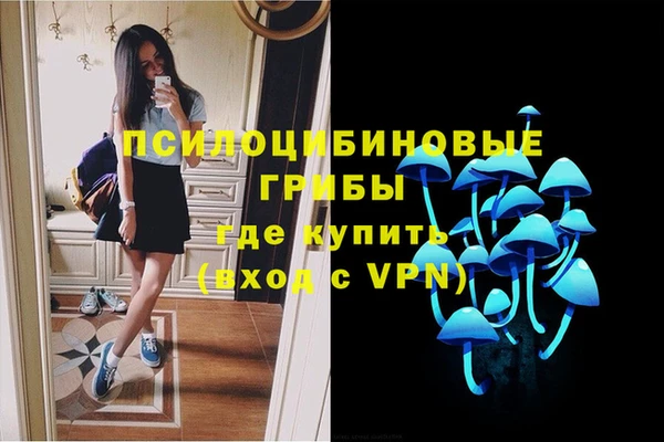 твердый Надым