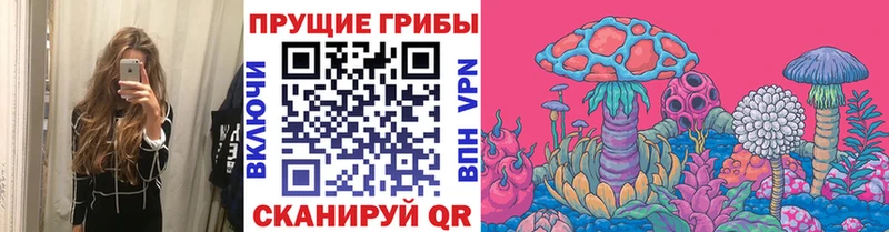 Псилоцибиновые грибы GOLDEN TEACHER  хочу   Мензелинск 